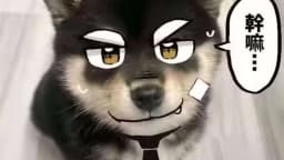 测试